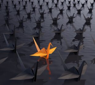 Application Testing and Quality Assurance